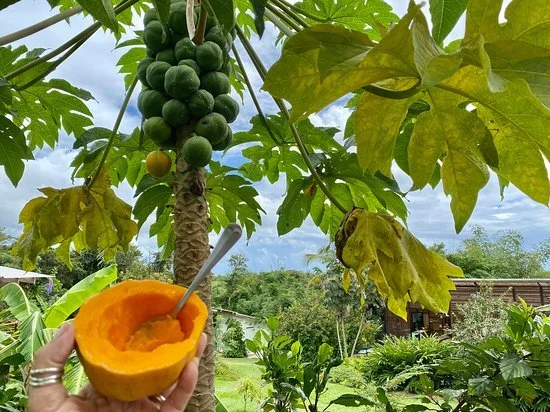 finca-victoria.jpg