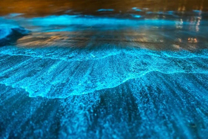 bioluminiscent-bay-puerto-rico.jpg