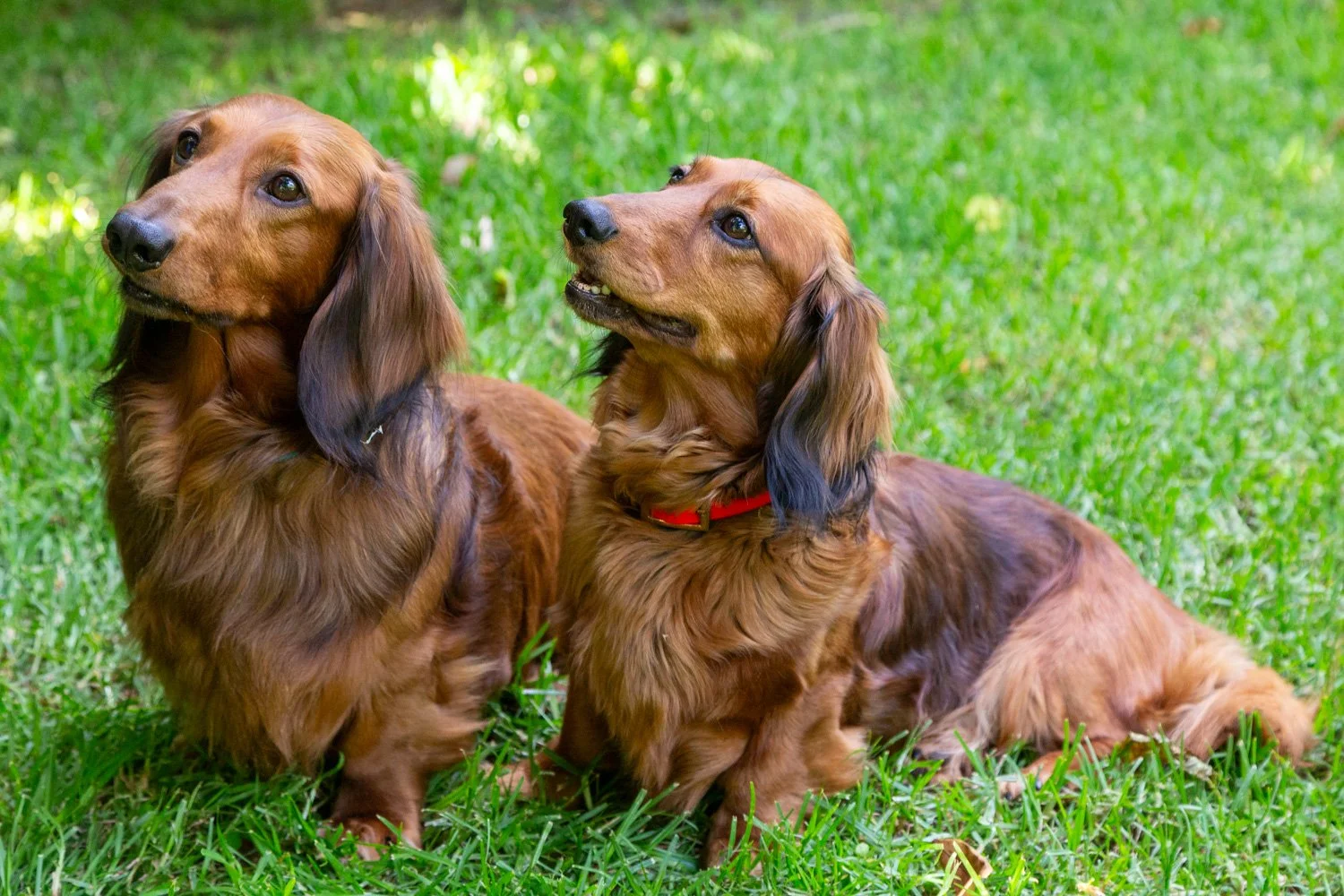 Jakob & Ellie-May.jpg