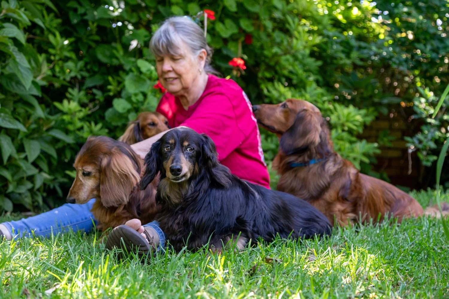Elizabeth with Tess, Naula, Jacob & ? 4.jpg