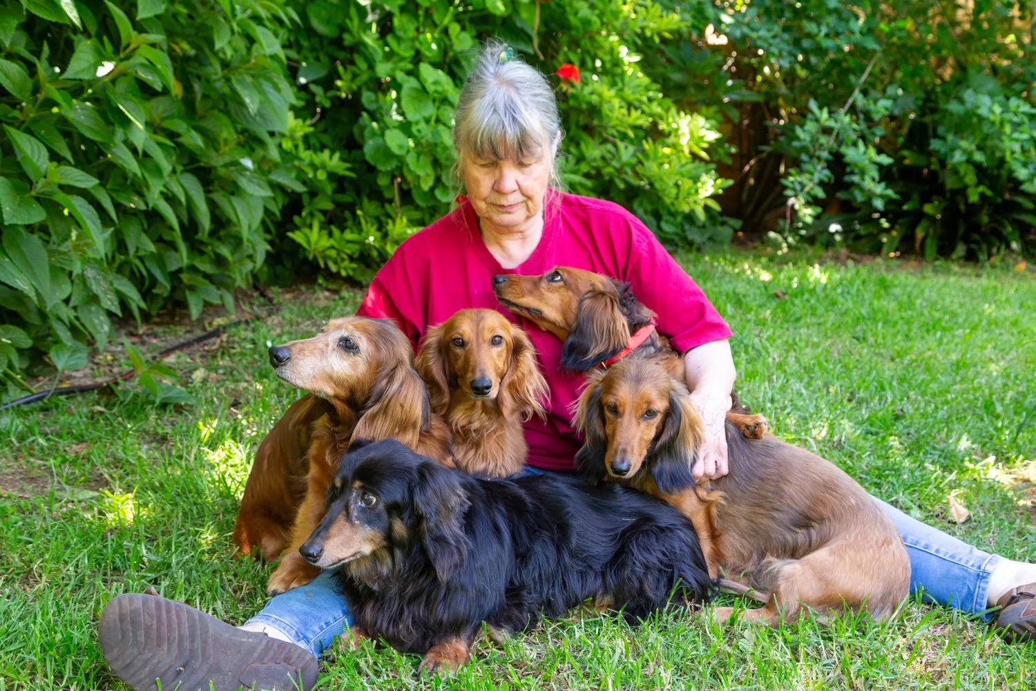 Elizabeth with Tess, Naula, Jacob & ? 1.jpg