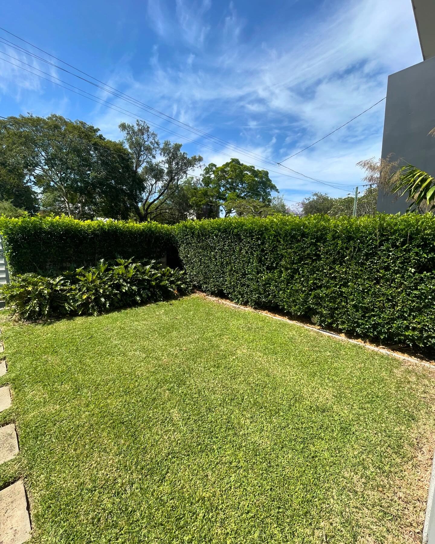 LET THEM GROW 🌿
-
A shot from our residential maintenance crew 💥 The team have been maintaining this property for just 3 months now, and the growth progress of this hedge - with the objective to create a screen - has been fantastic.
-
To setup up w
