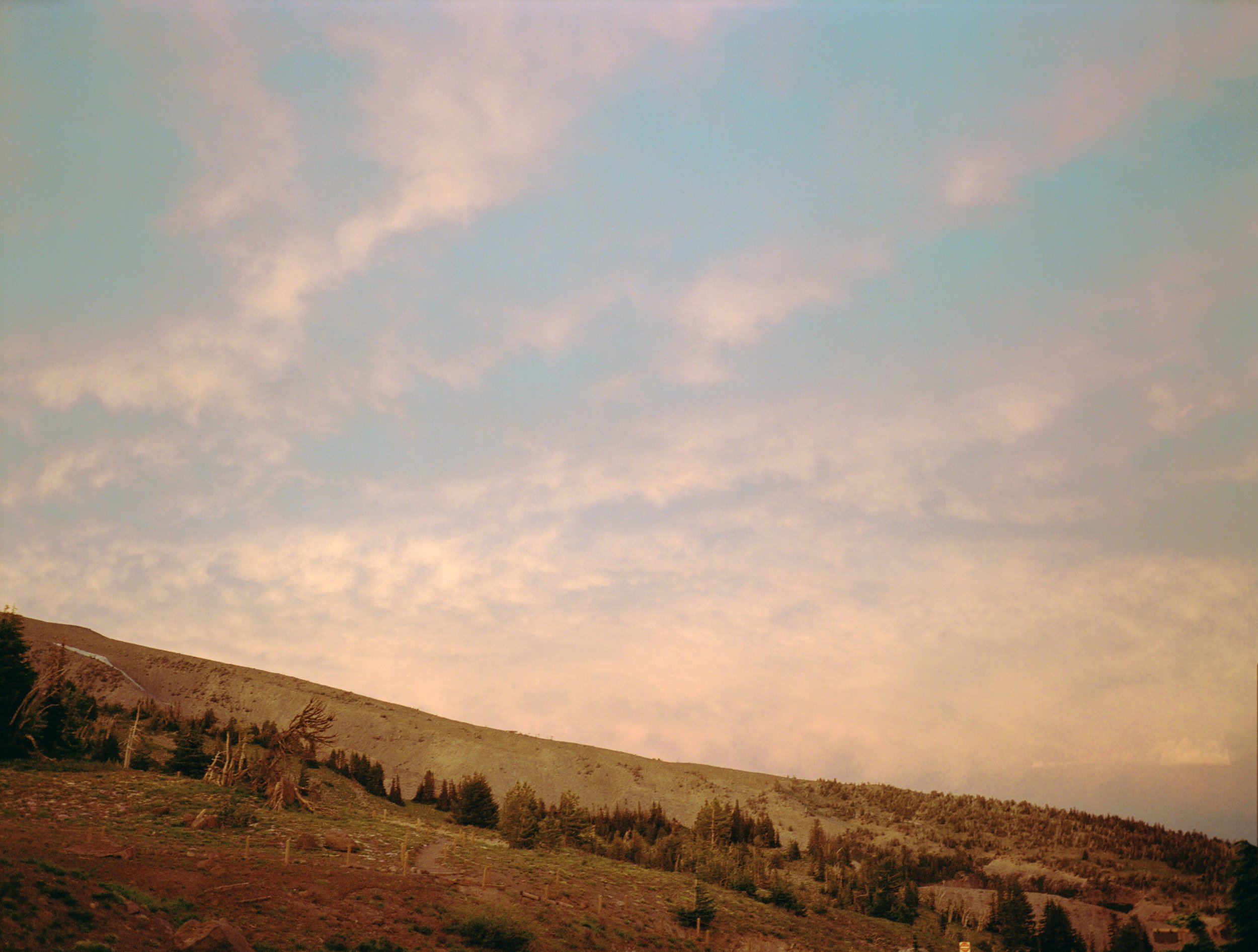 Landscape of a hillside with scattered trees and a cloudy sky at sunset.