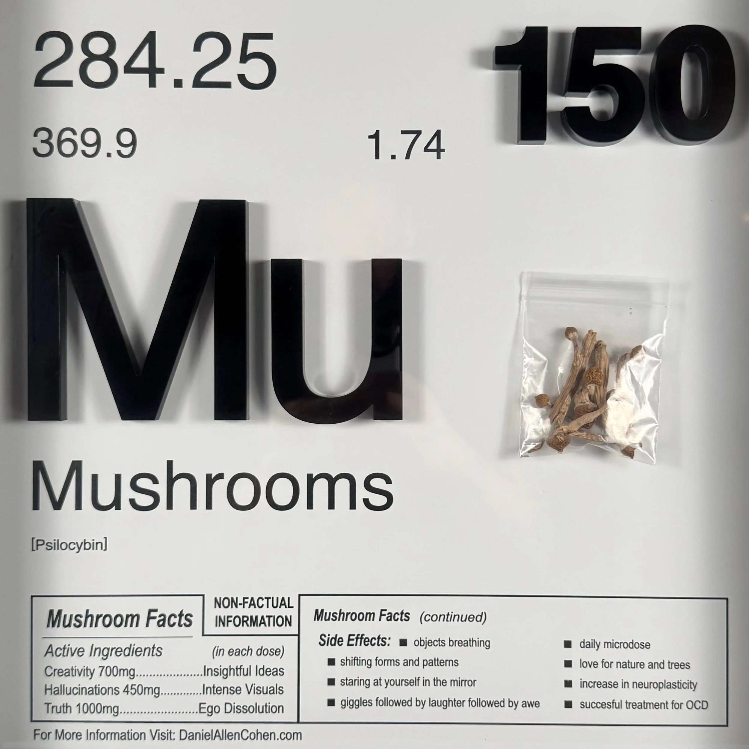 Daniel Allen Cohen "This Is Addictive - Mushrooms"