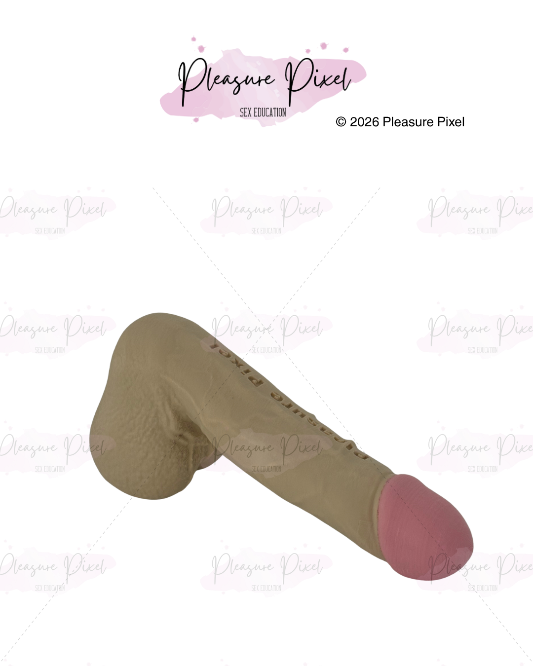 Model of Erect Penis with Scrotum - Beige