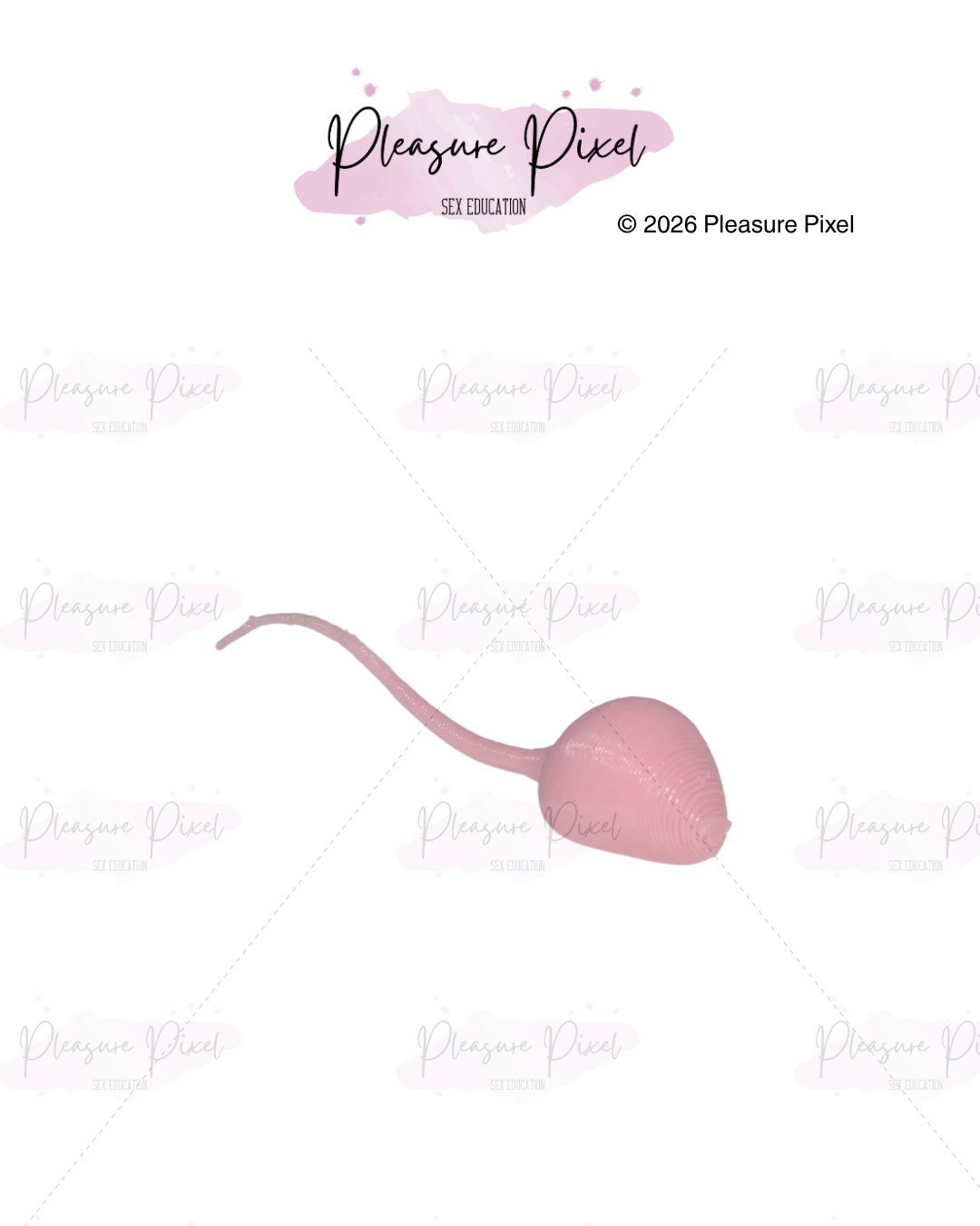 Small Sperm 5 Pack