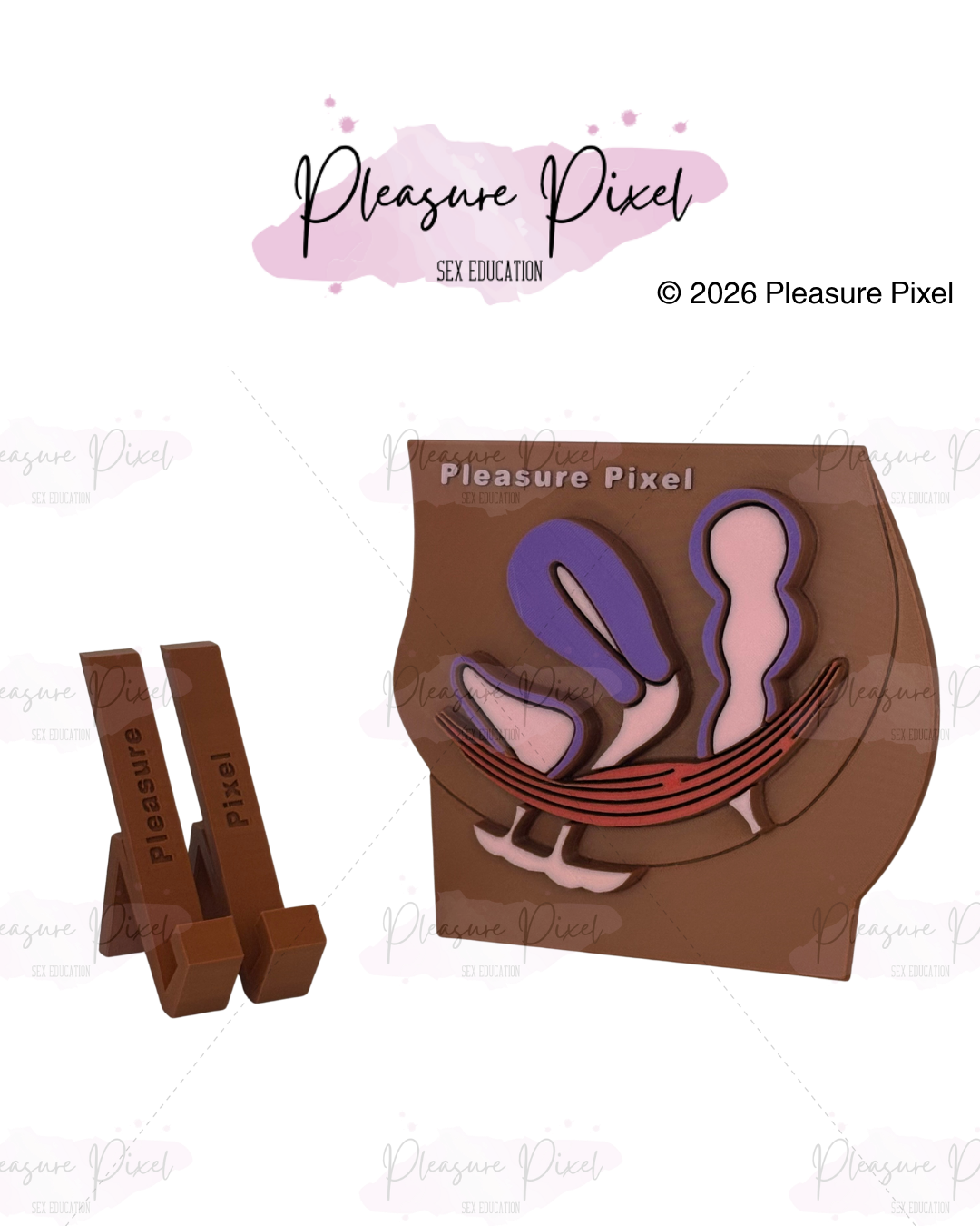 Female Pelvic Floor - Brown Product (1).png