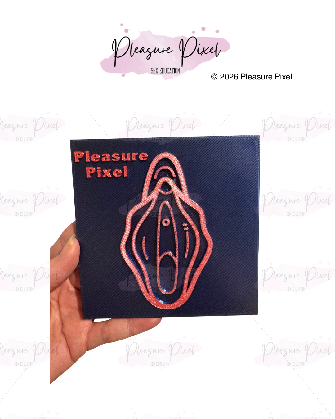 Travel Sized Vulva Model