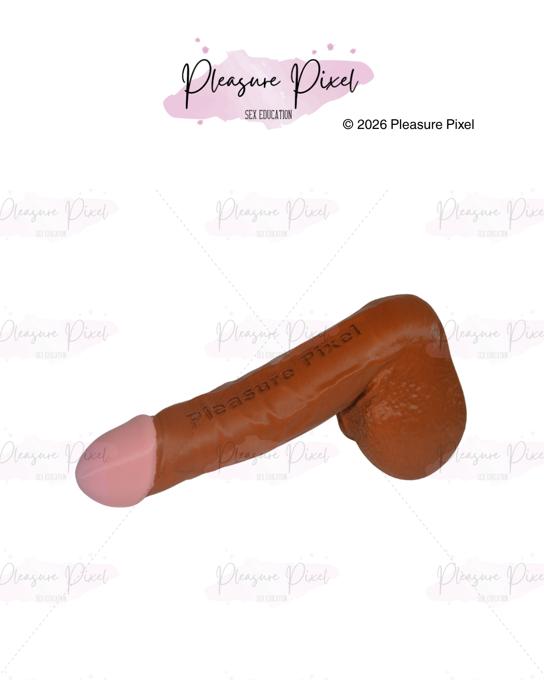 Model of Erect Penis with Scrotum - Brown