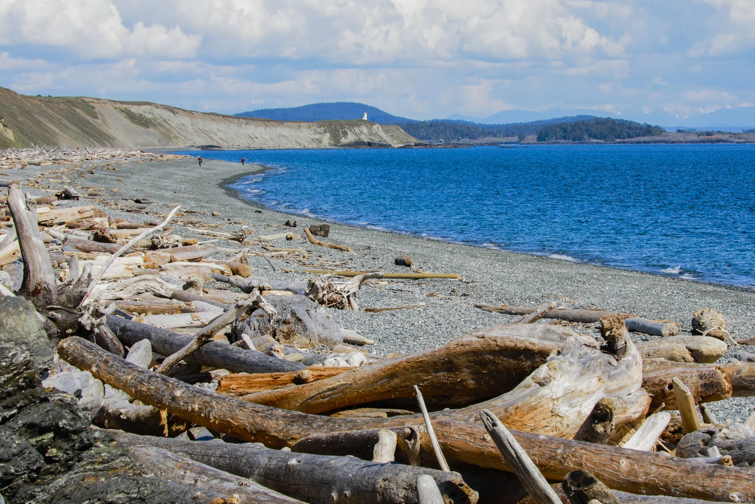 seascapes