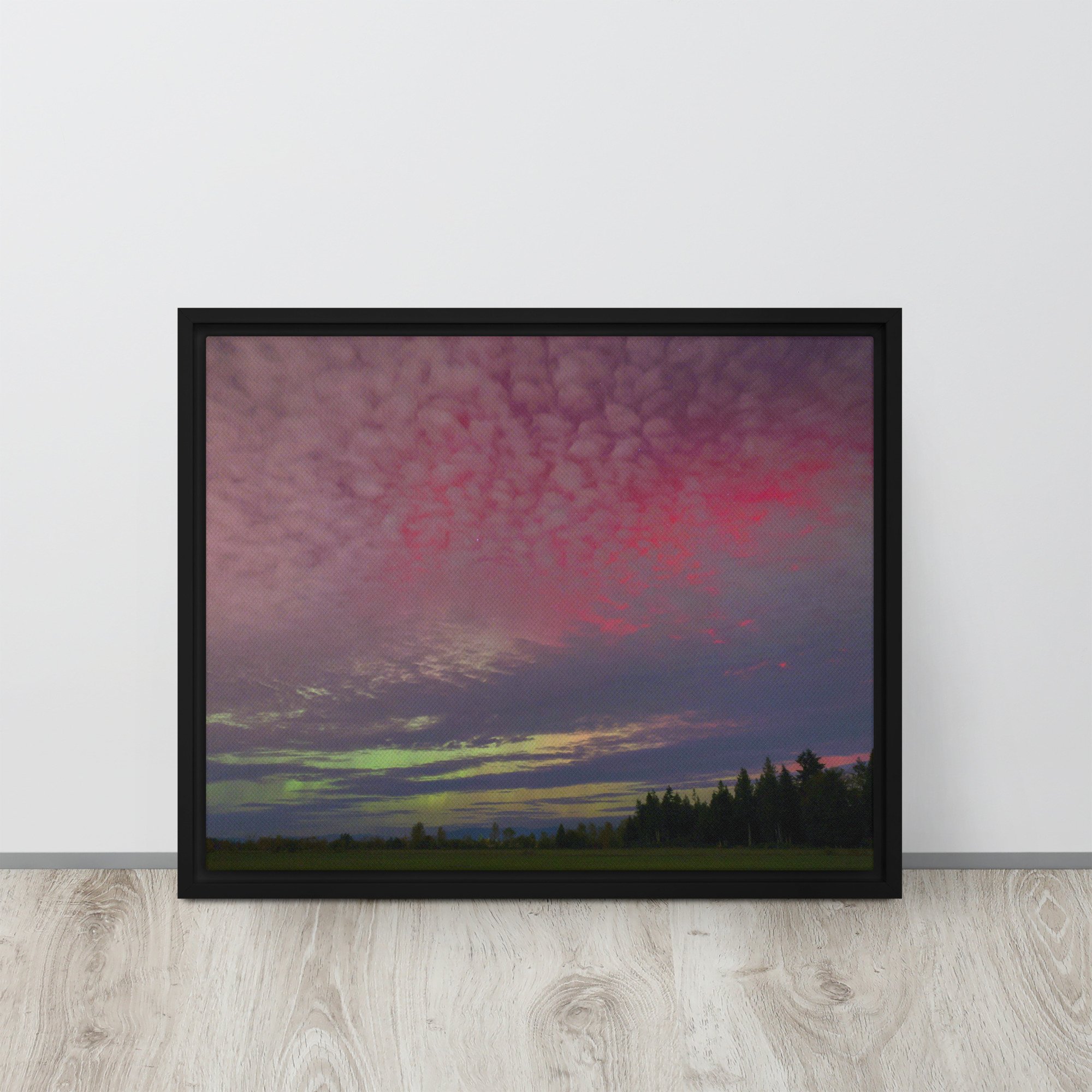 framed-canvas-(in)-black-16x20-front-67c73eeecf436.jpg