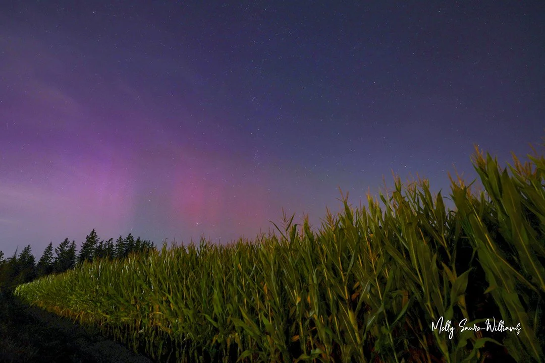Buckley Cornfields aurora web.jpg