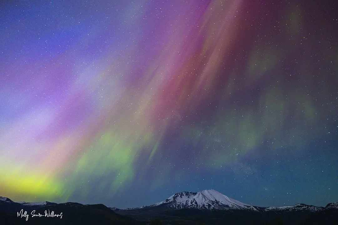 auroa trifecta web.jpg