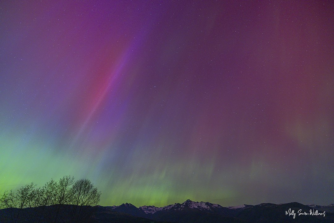 Magenta skies web.jpg