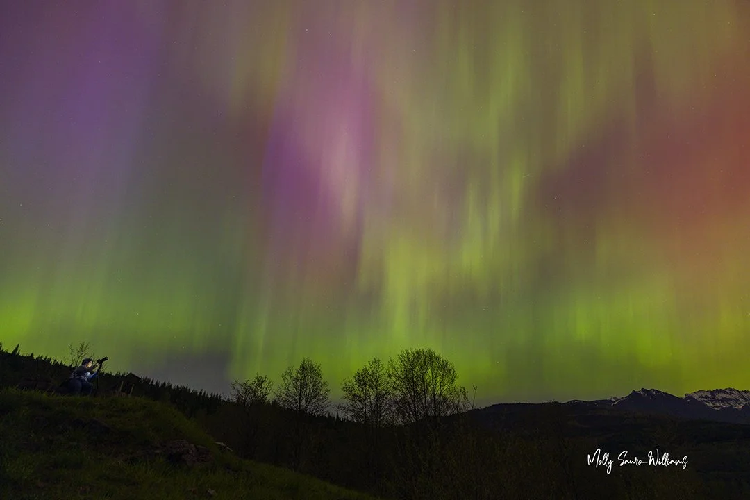 wendy and the northern lights web.jpg