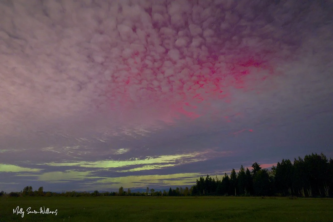 Northern Lights Buckley WA web.jpg