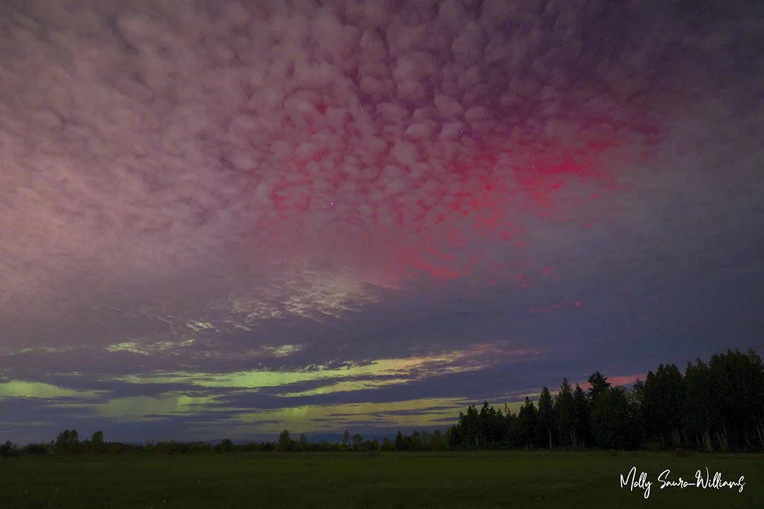 buckley meadow northern lights web.jpg