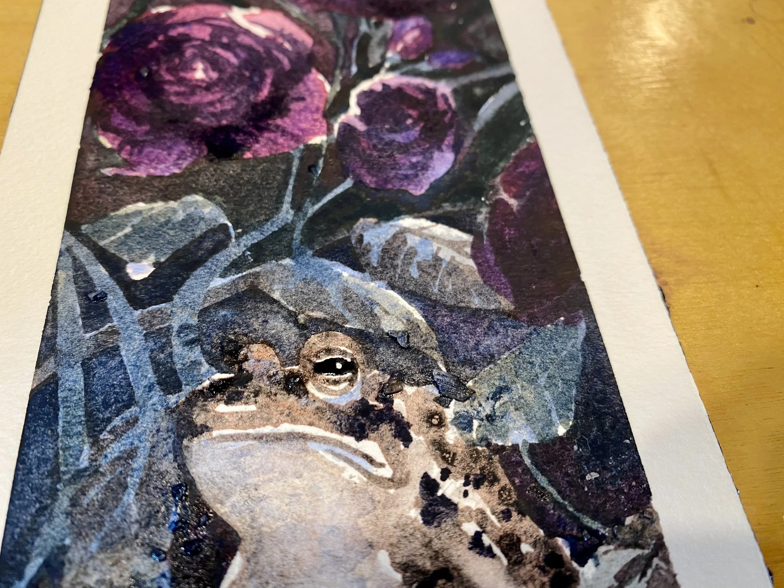 Become braver with high contrast and loving it! Jacksonville, OR USA 2025