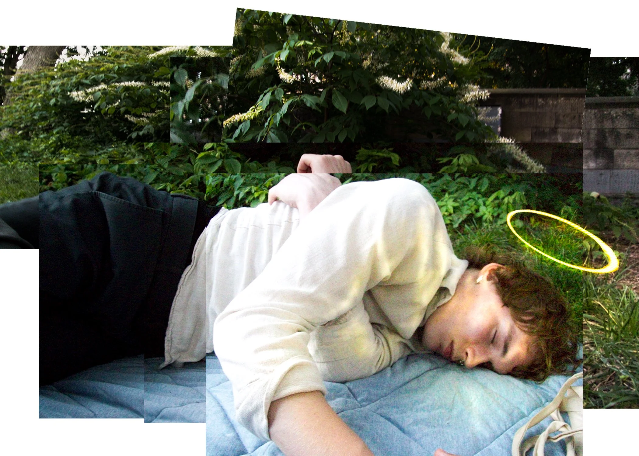 The Boy Born From The Fireflies
