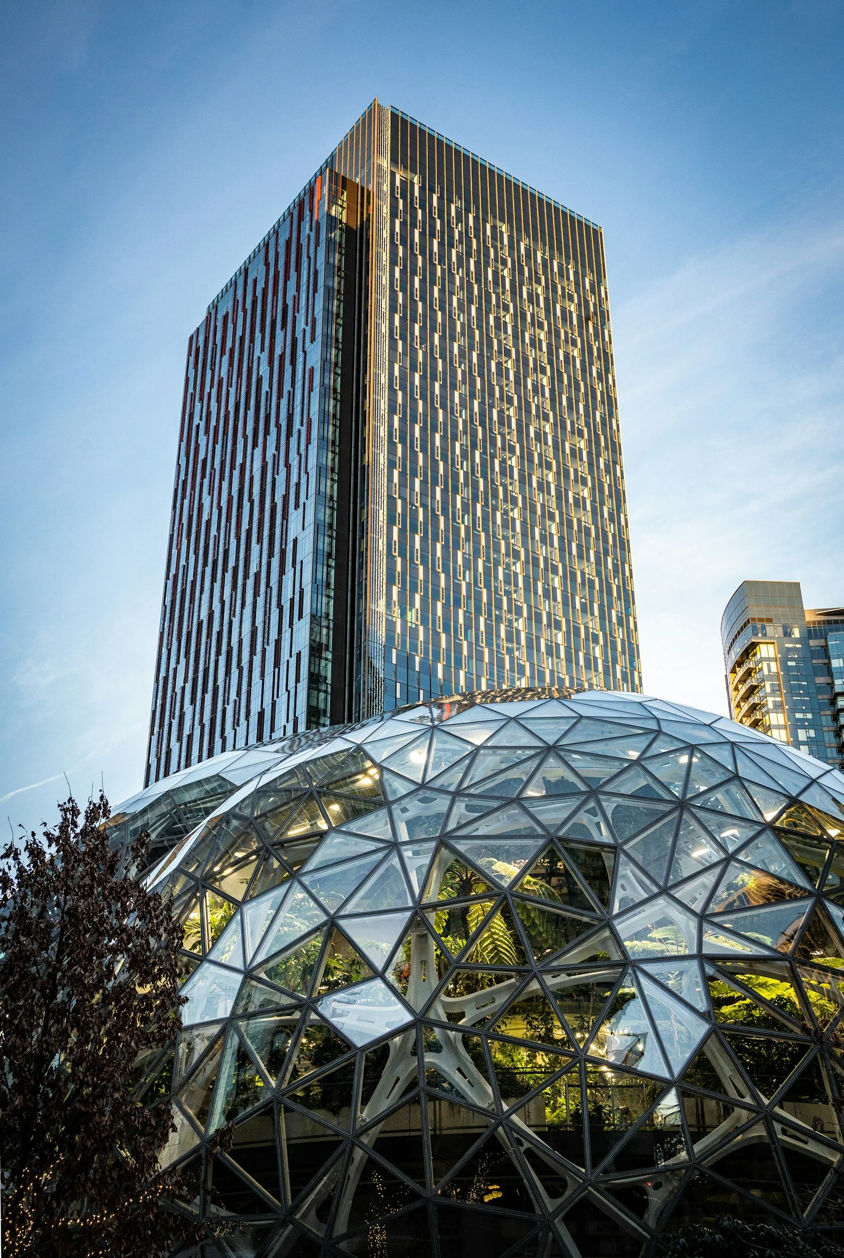 Amazon, Microsoft, and Burnout: Mental Health in Seattle Tech