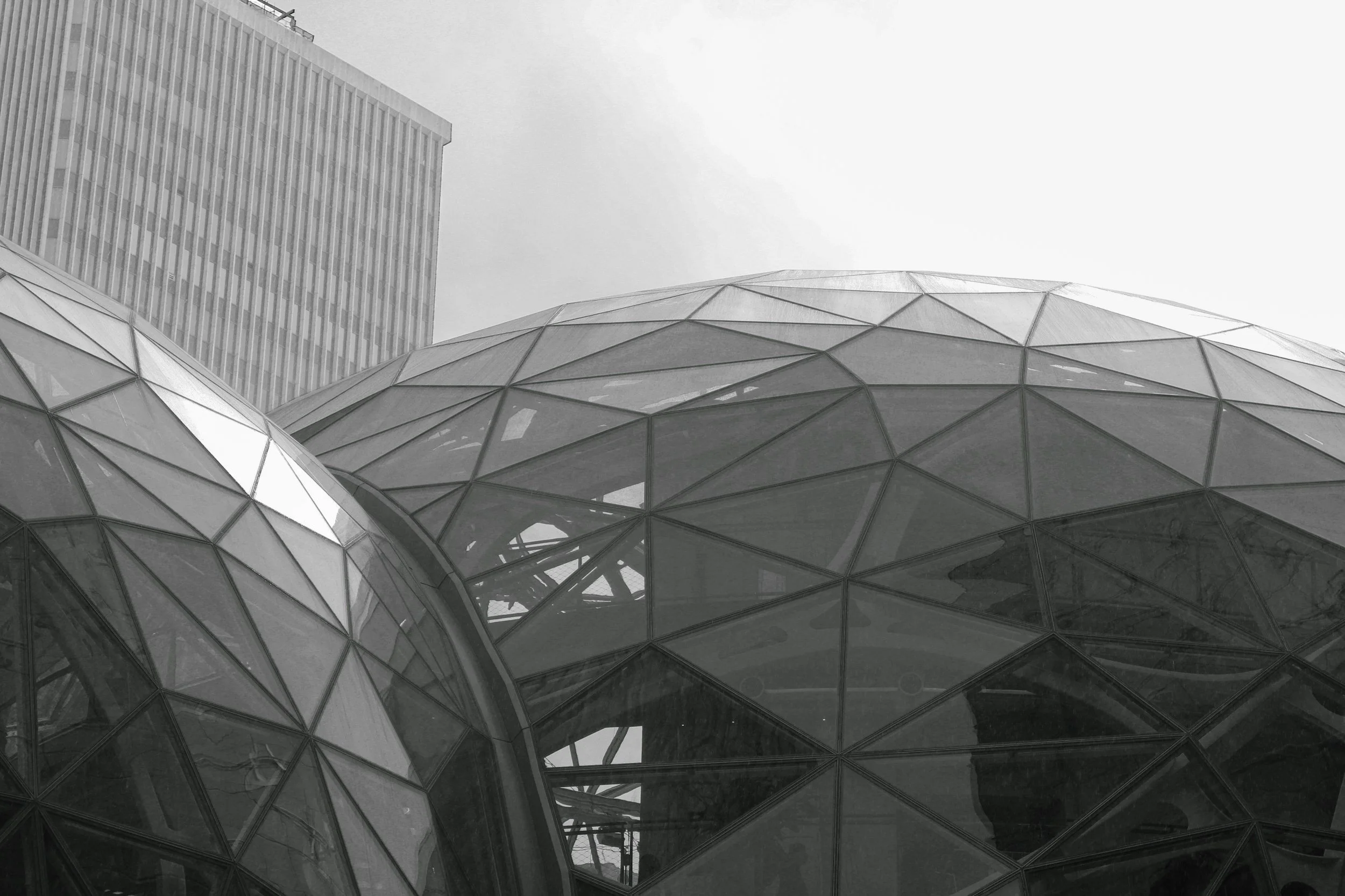 Low-angle black and white photo of modern architectural buildings, including a large glass-domed structure with geometric patterns, and tall rectangular skyscraper in the background.