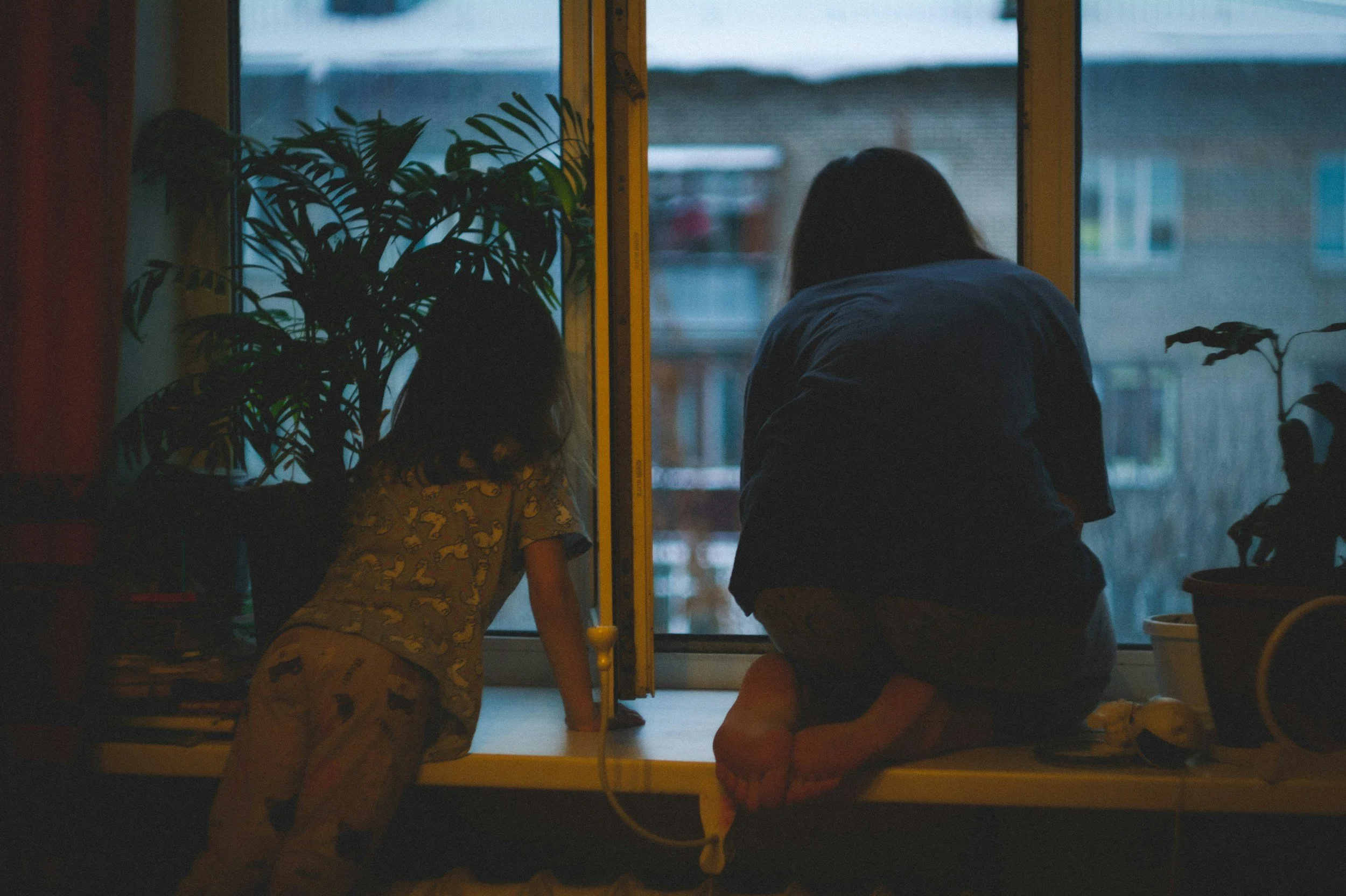 Two children, a girl and a boy, sitting by a window, looking outside, with indoor plants nearby, during dusk or early evening.