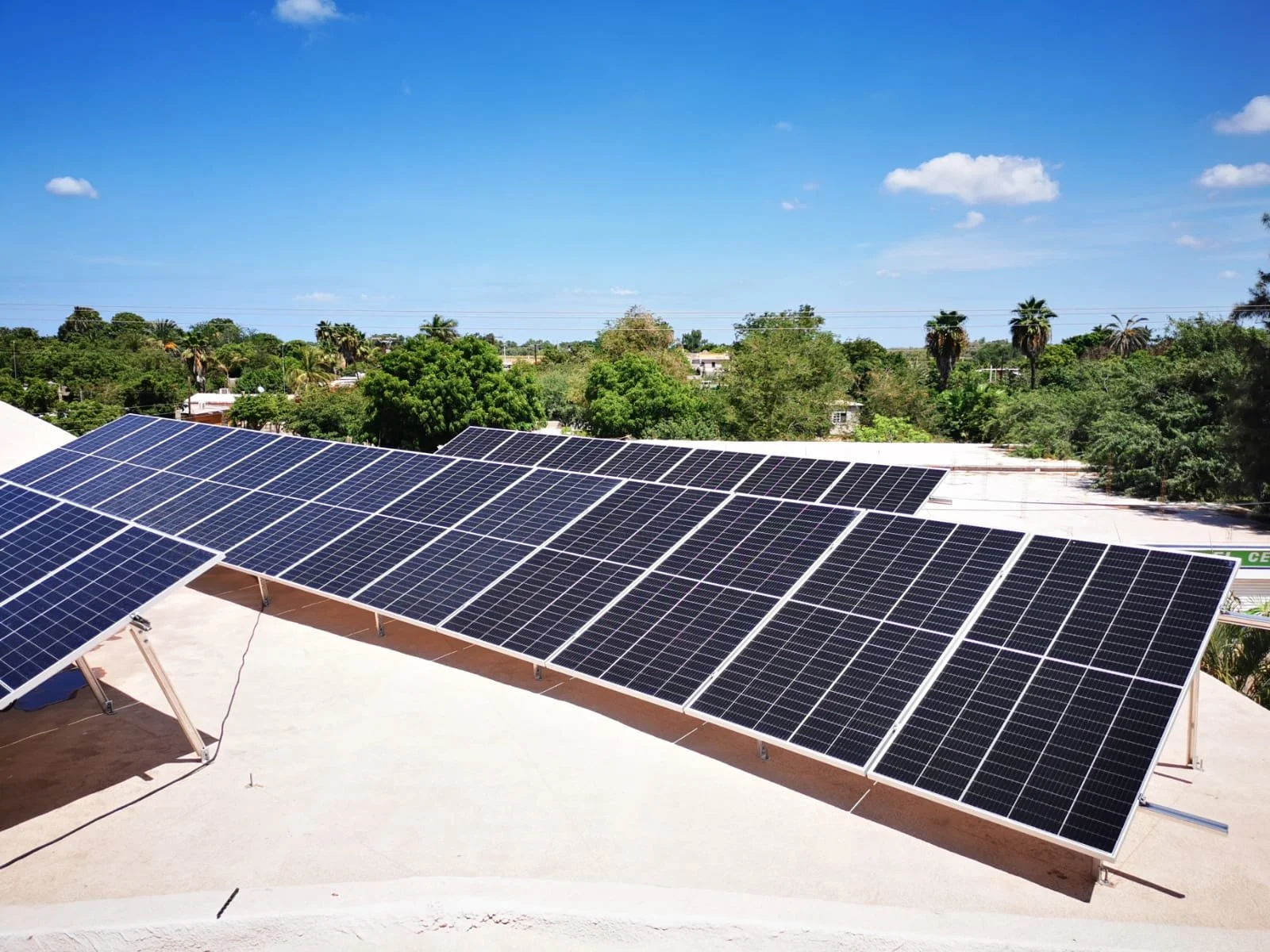 ABARROTES CESAR 8 2021-08-02 at 12.08.52.jpeg