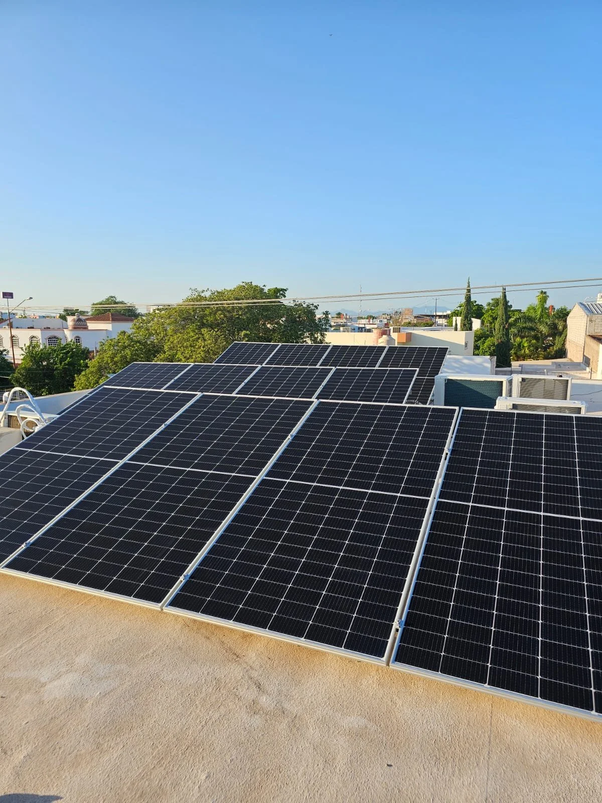 WhatsApp Image 2024-10-20 at 11.24.18 PM.jpeg