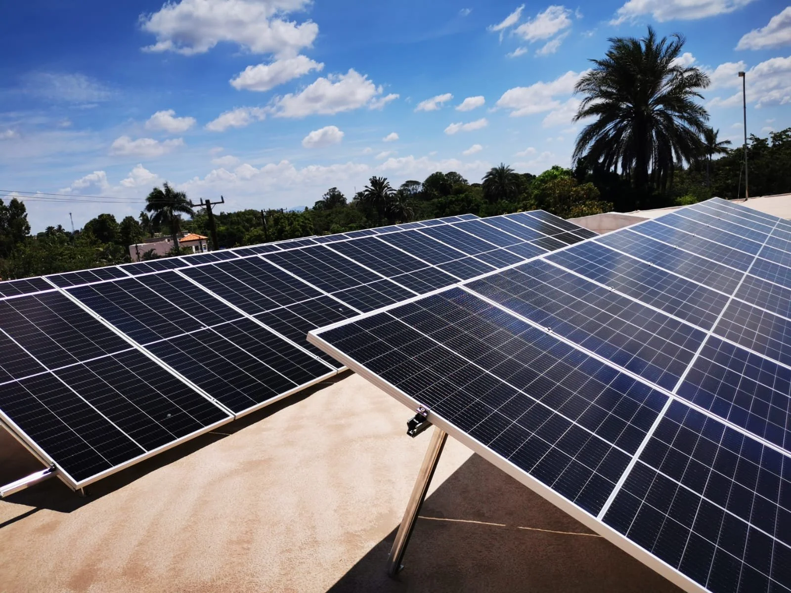 ABARROTES CESAR 3 2021-08-02 at 12.08.51.jpeg