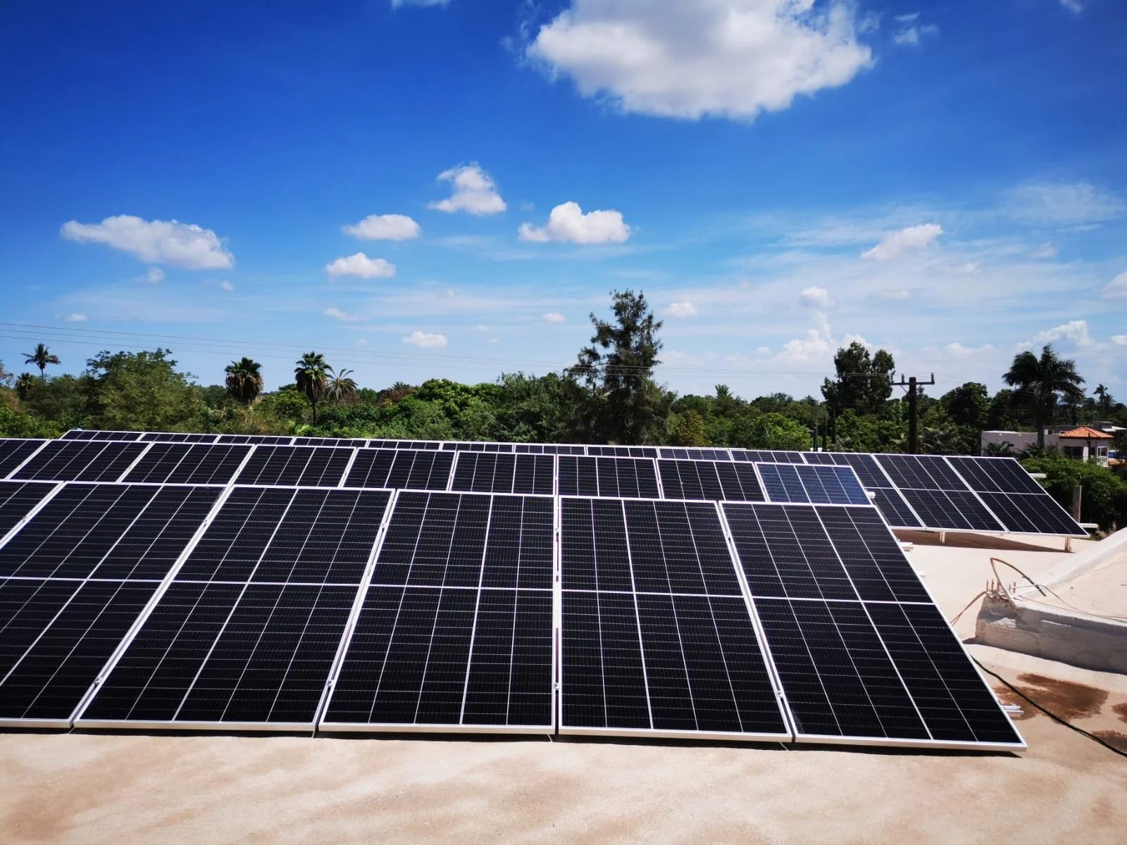 ABARROTES CESAR 4 2021-08-02 at 12.08.52.jpeg