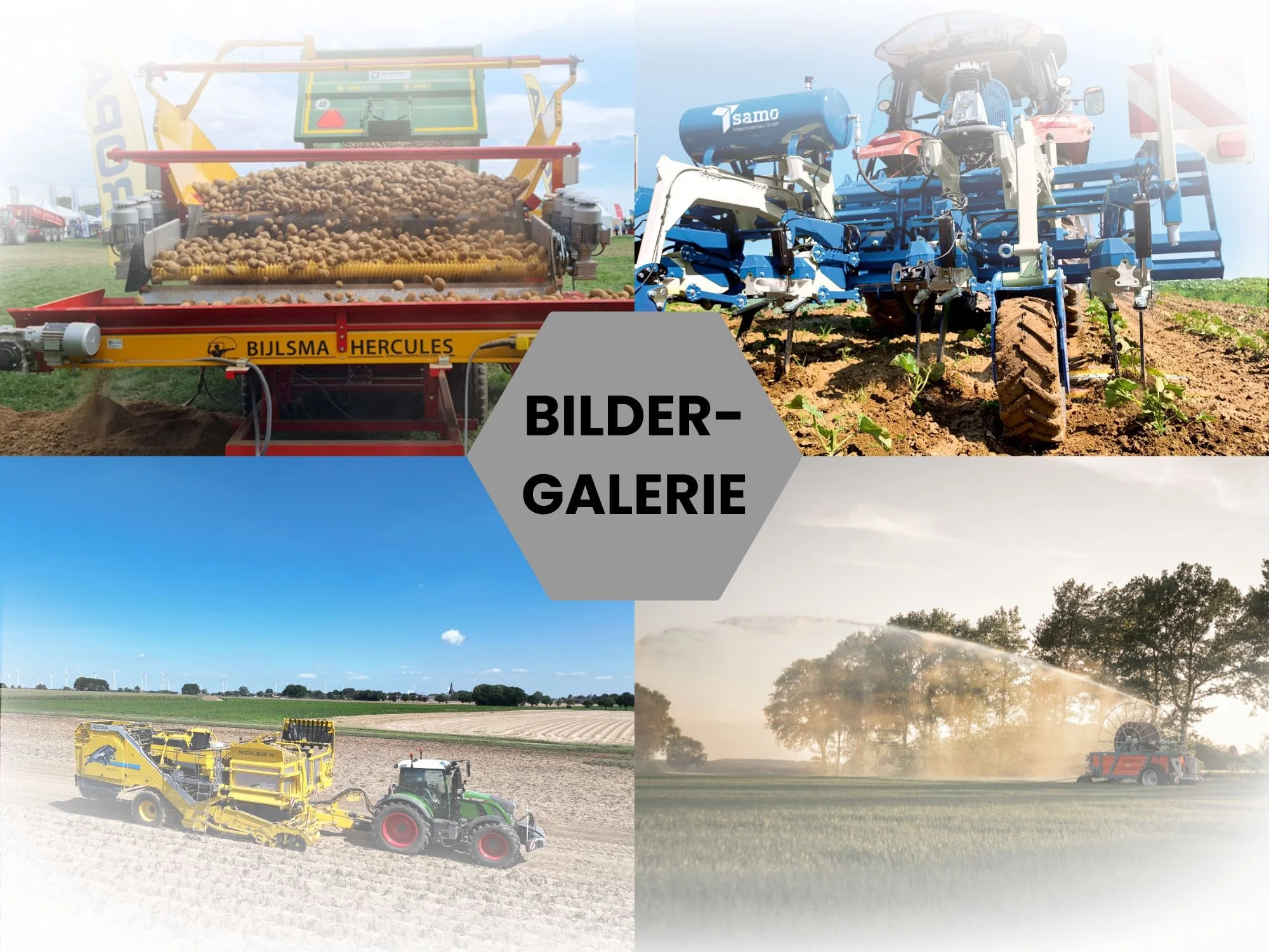 Banner_Bildergalerie_1.jpg