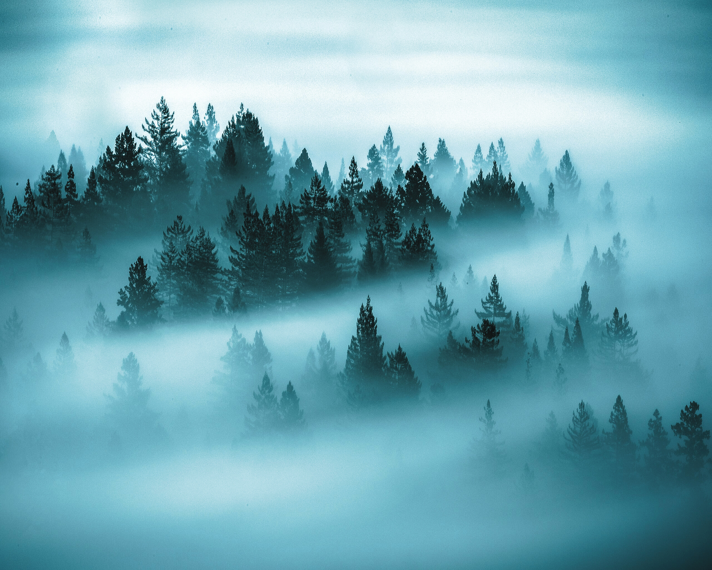 896213fb-6464-4574-8d14-691cbab6a25d.jpg (2).png