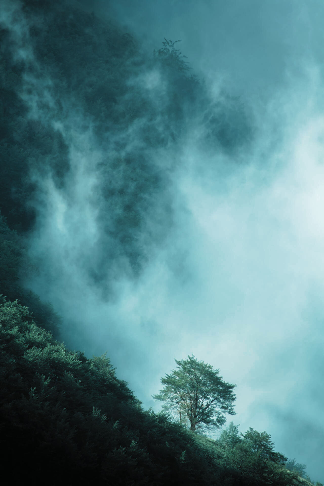 A foggy mountain landscape with lush green trees and mist rising among the slopes.