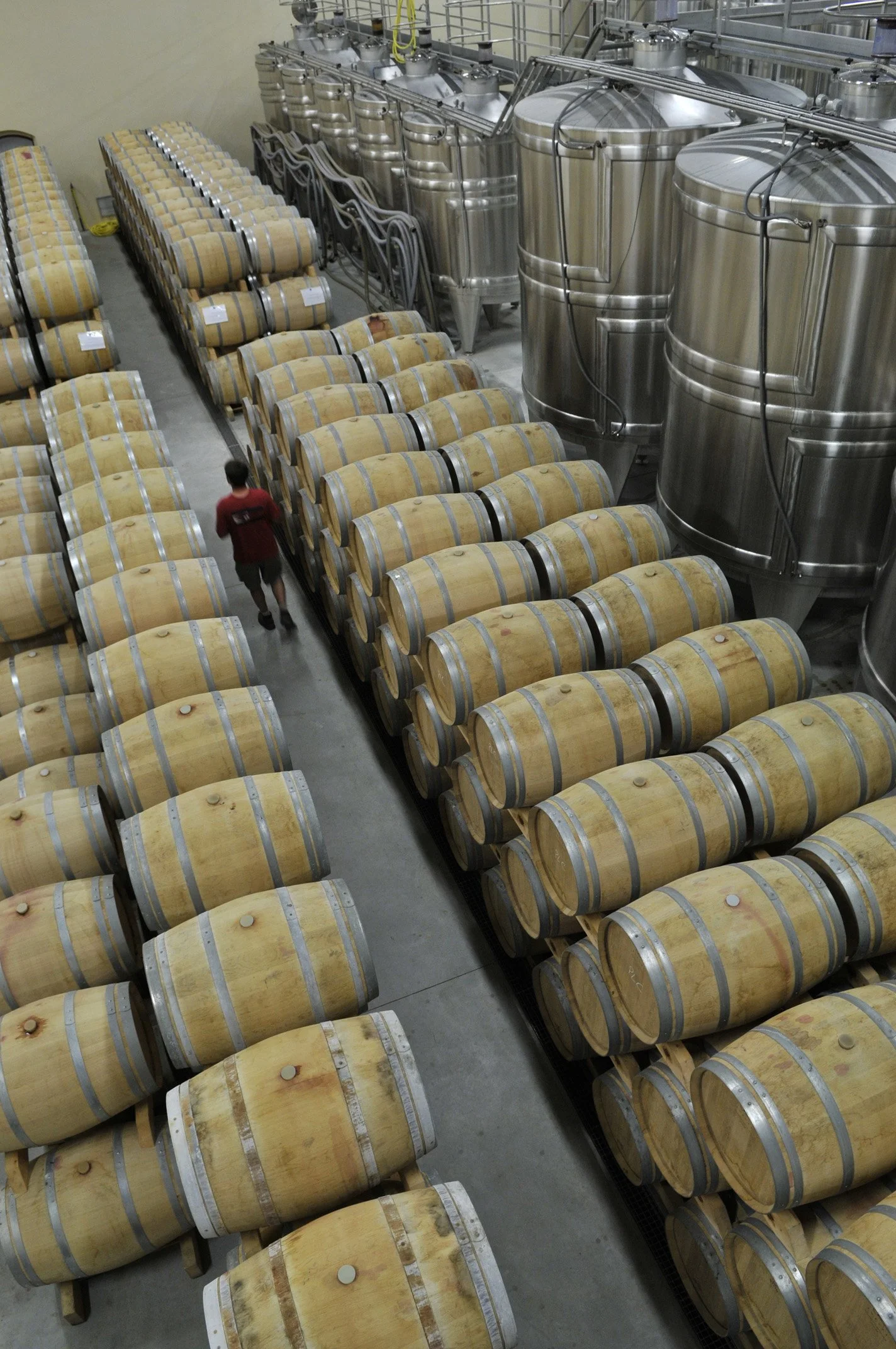 Demoiselles - barrel cellar.JPG