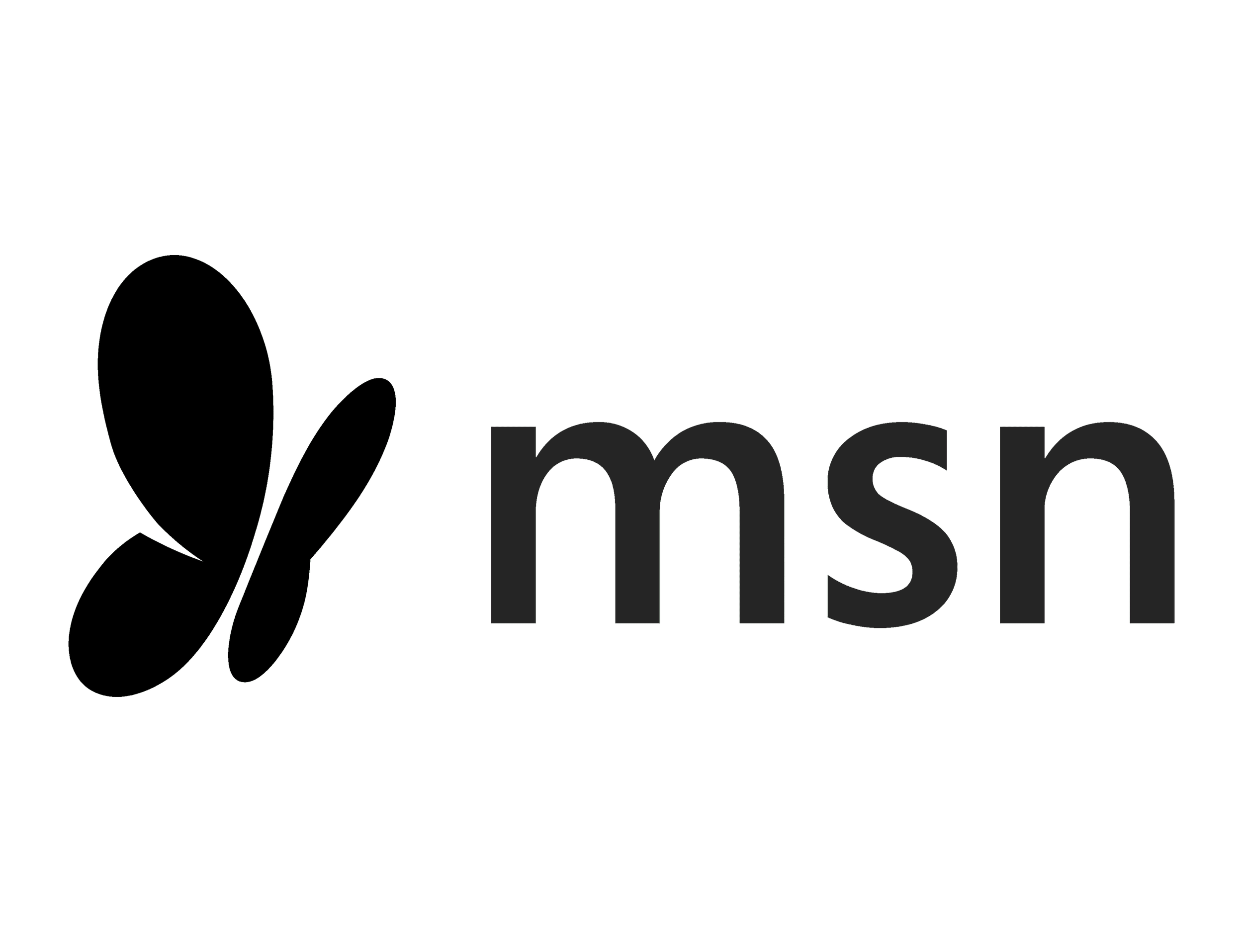 MSN Logo