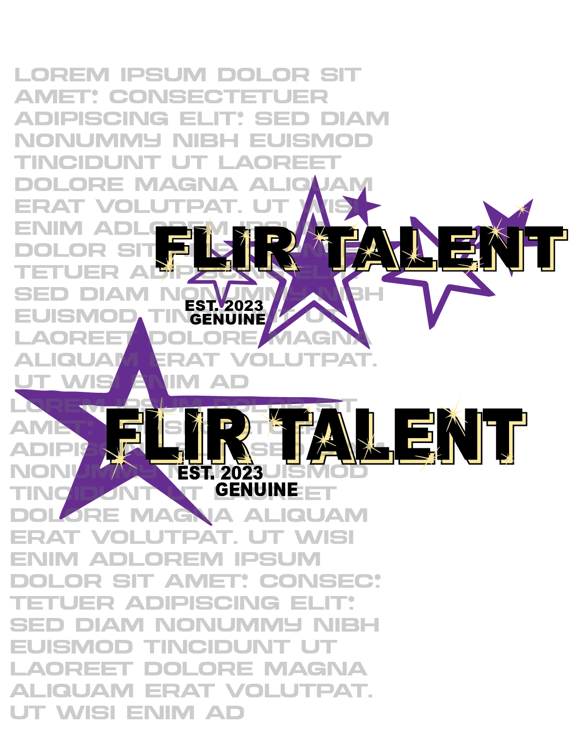 Flir Board 1.png