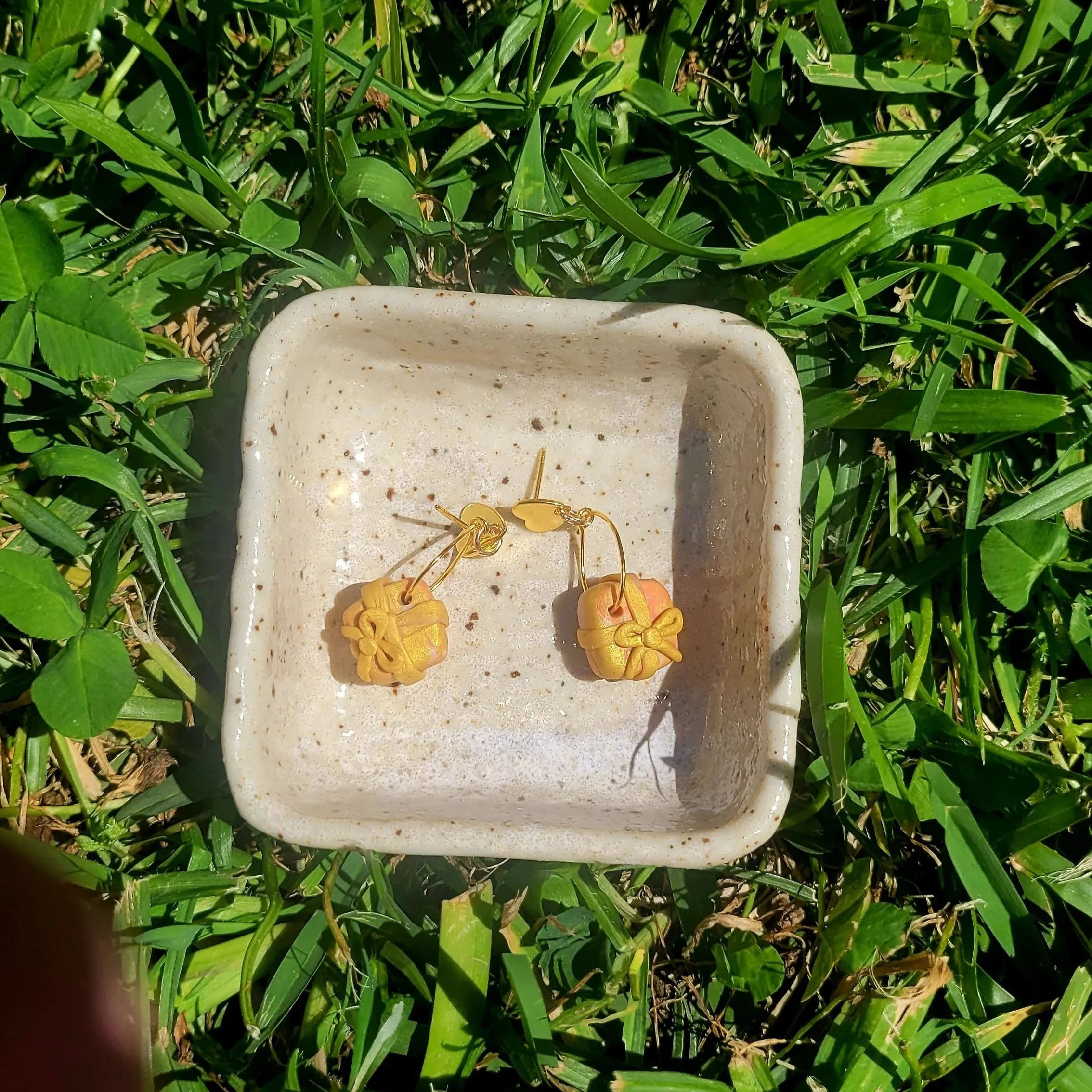 20260926_112916.jpg