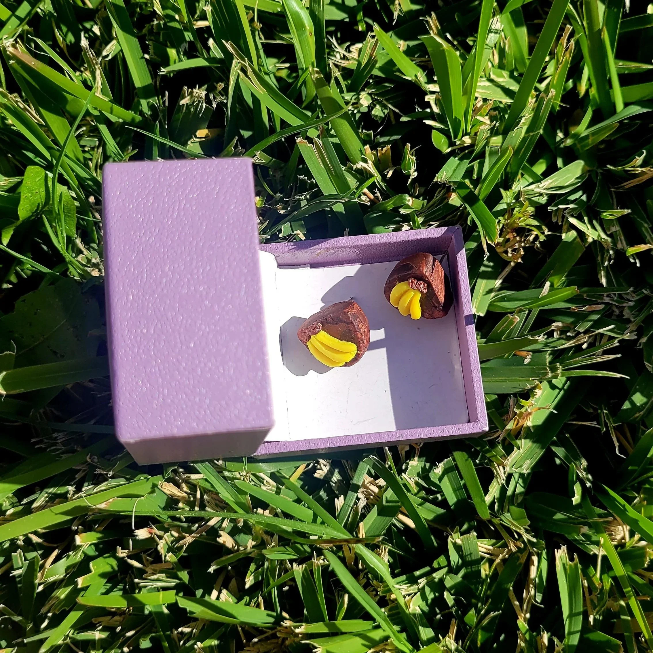 20260723_124356.jpg