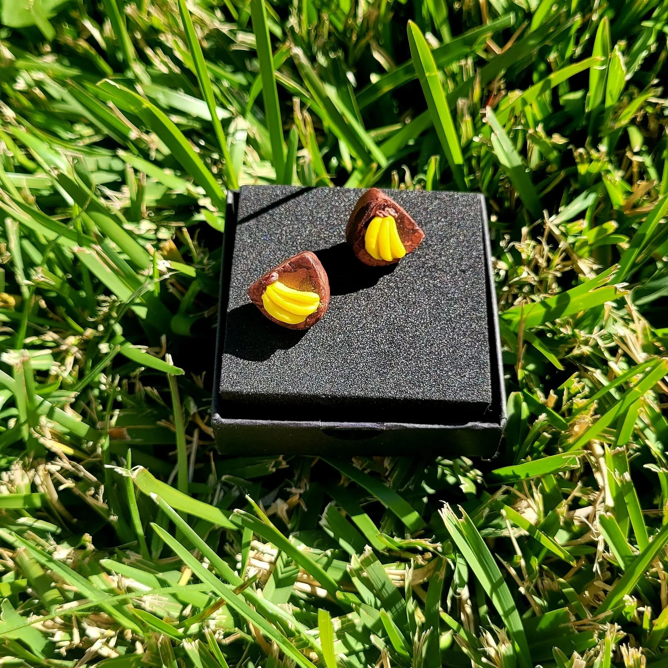 20260723_124439.jpg
