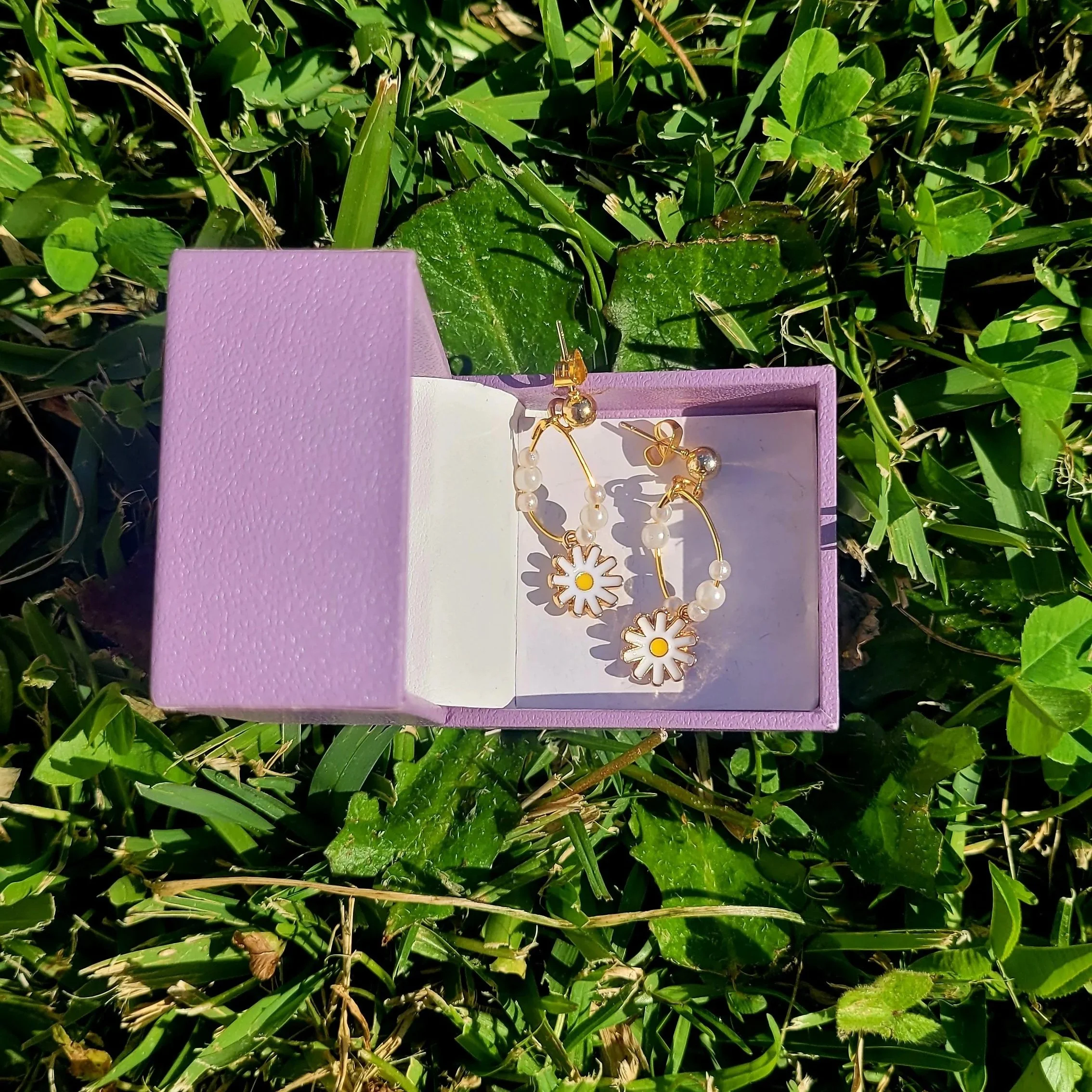 20260913_140006.jpg