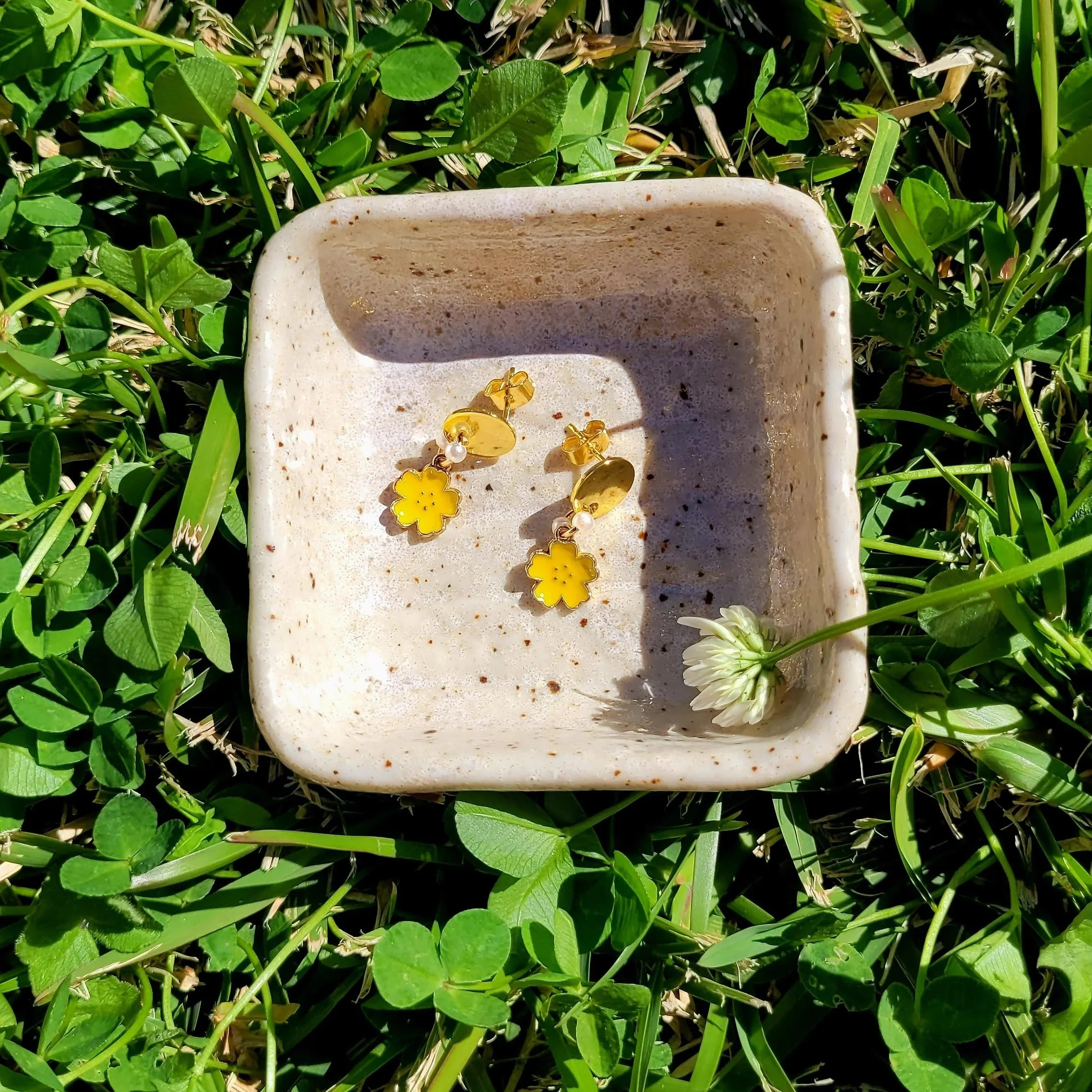 20260822_130717.jpg