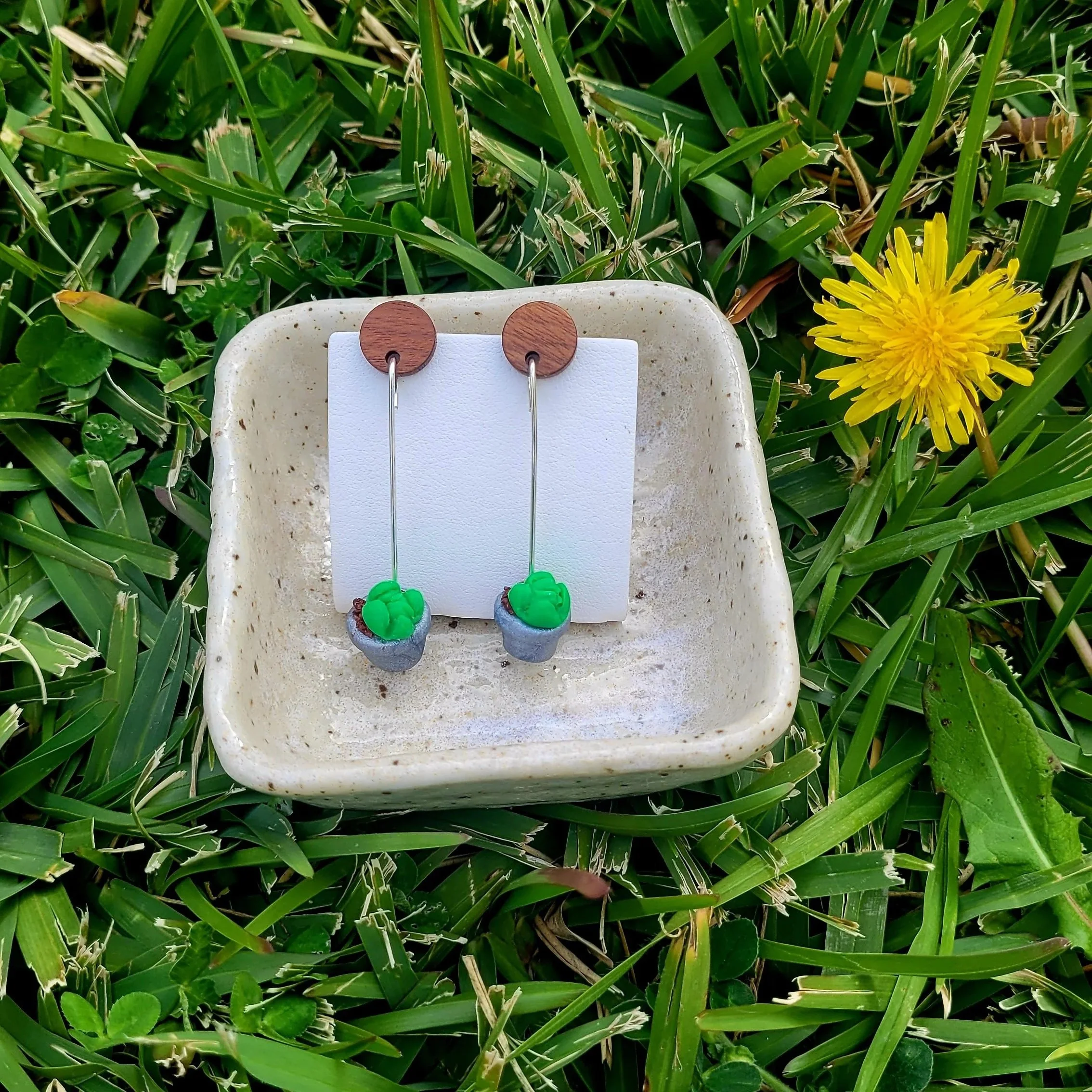 20260810_125931.jpg