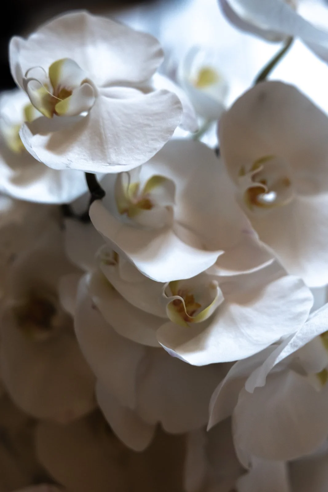 Fábio&amp;Jules-bridal-bouquet-detail-wedding-weekend-paris
