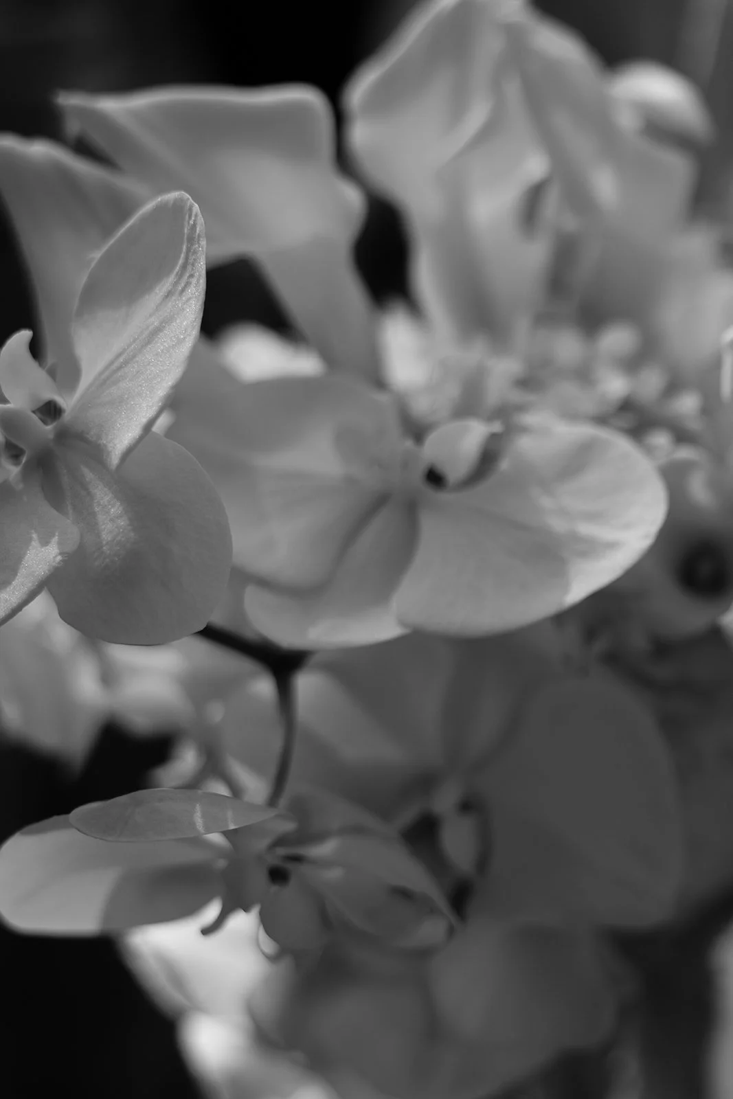 Fábio&amp;Jules-fashion-bride-bouquet-berlin