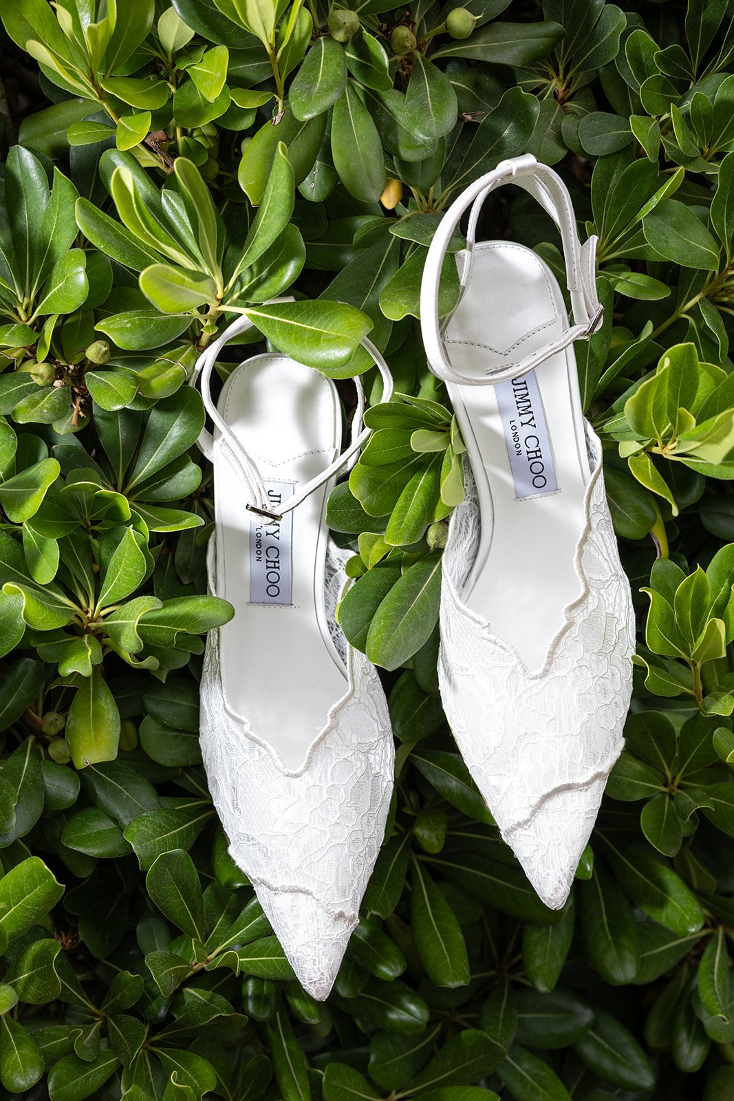 Fábio&amp;Jules_jimmy-choo-bridal-shoes-detail-shot
