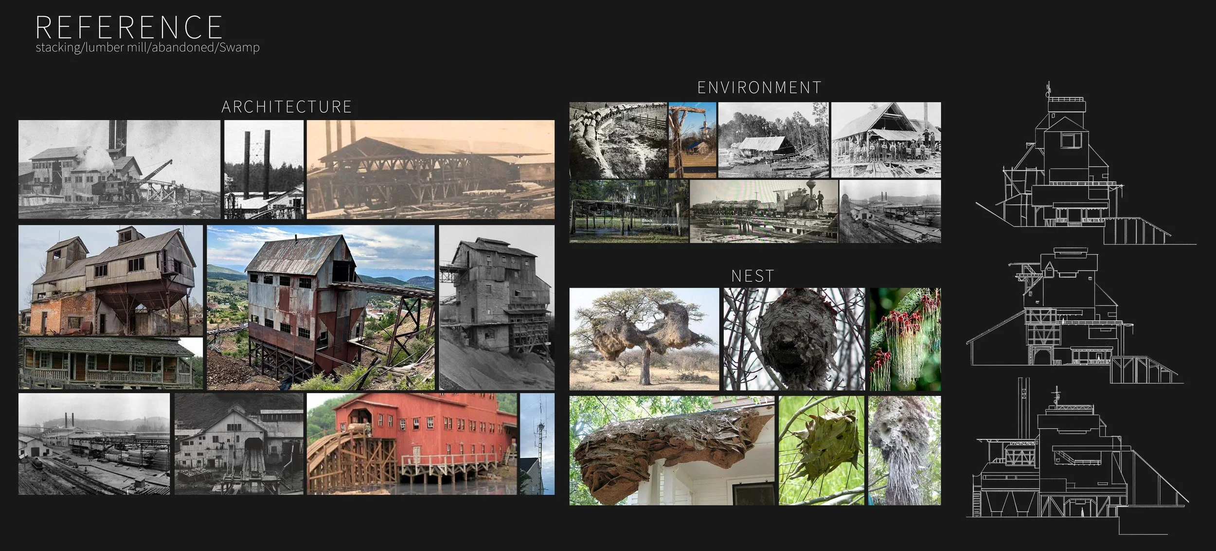 A collage displaying the evolution of architecture, environment, and nests through historical photos and modern images, with architectural sketches on the right side.