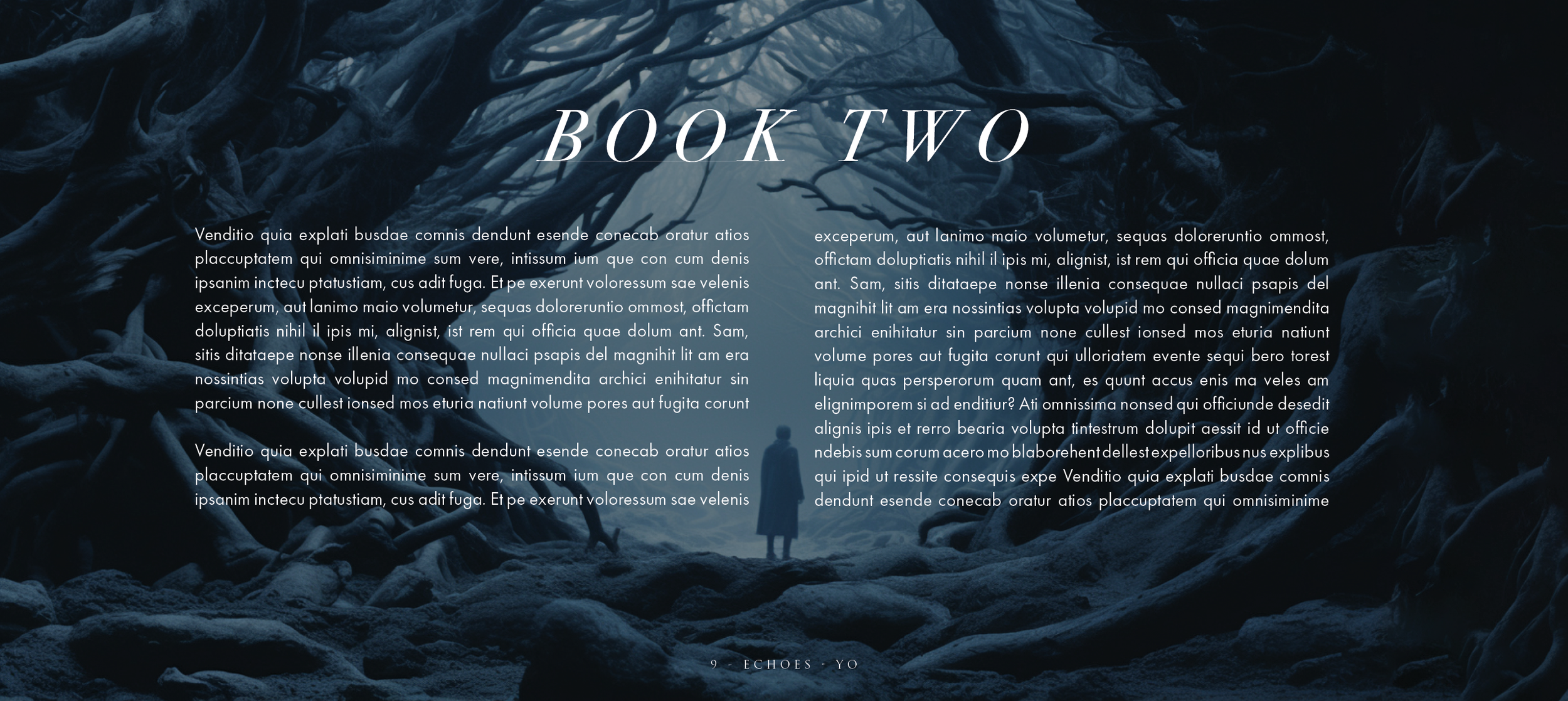 echoes9.png