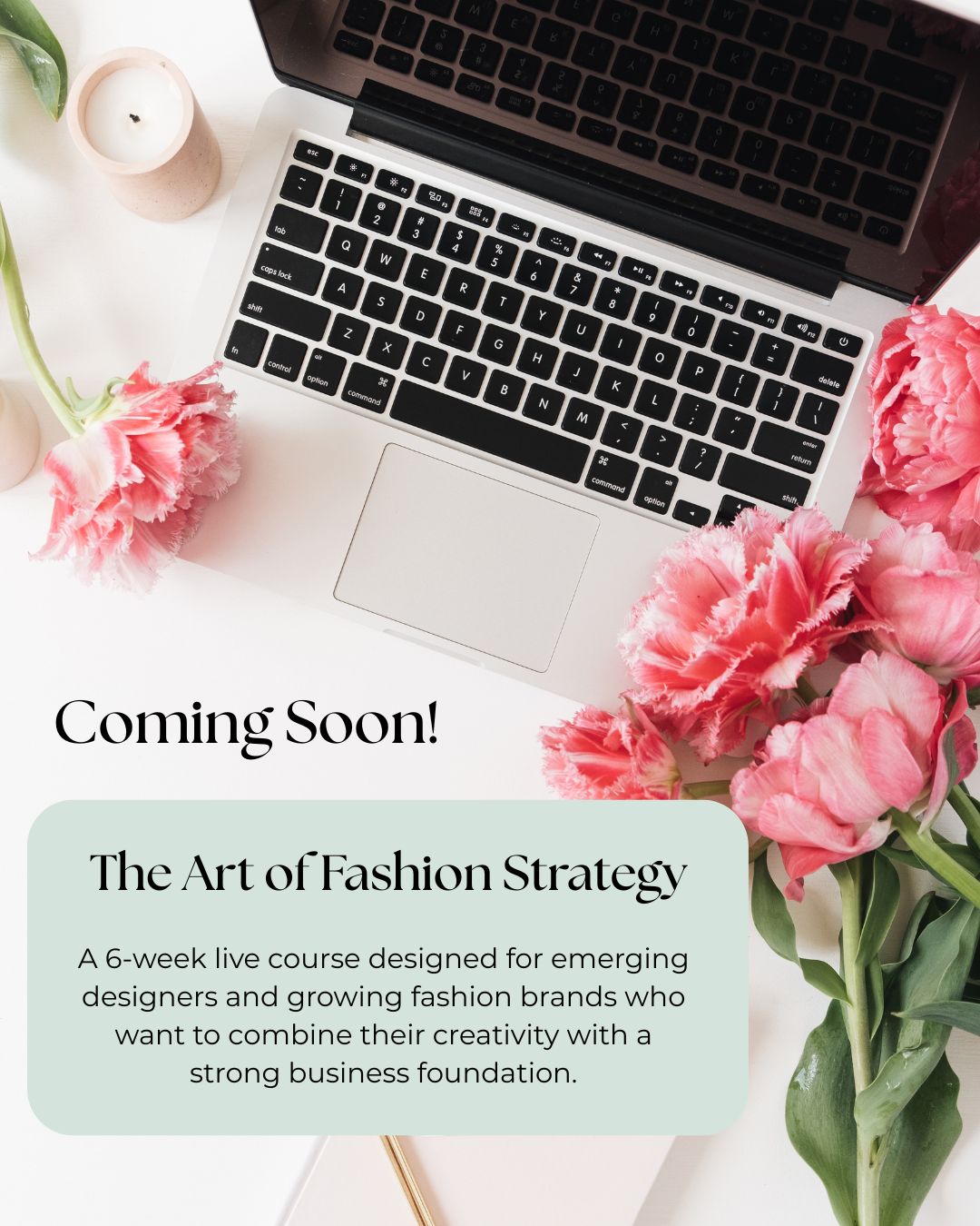 The Art of Fashion Strategy Course and Fashion Mentorship