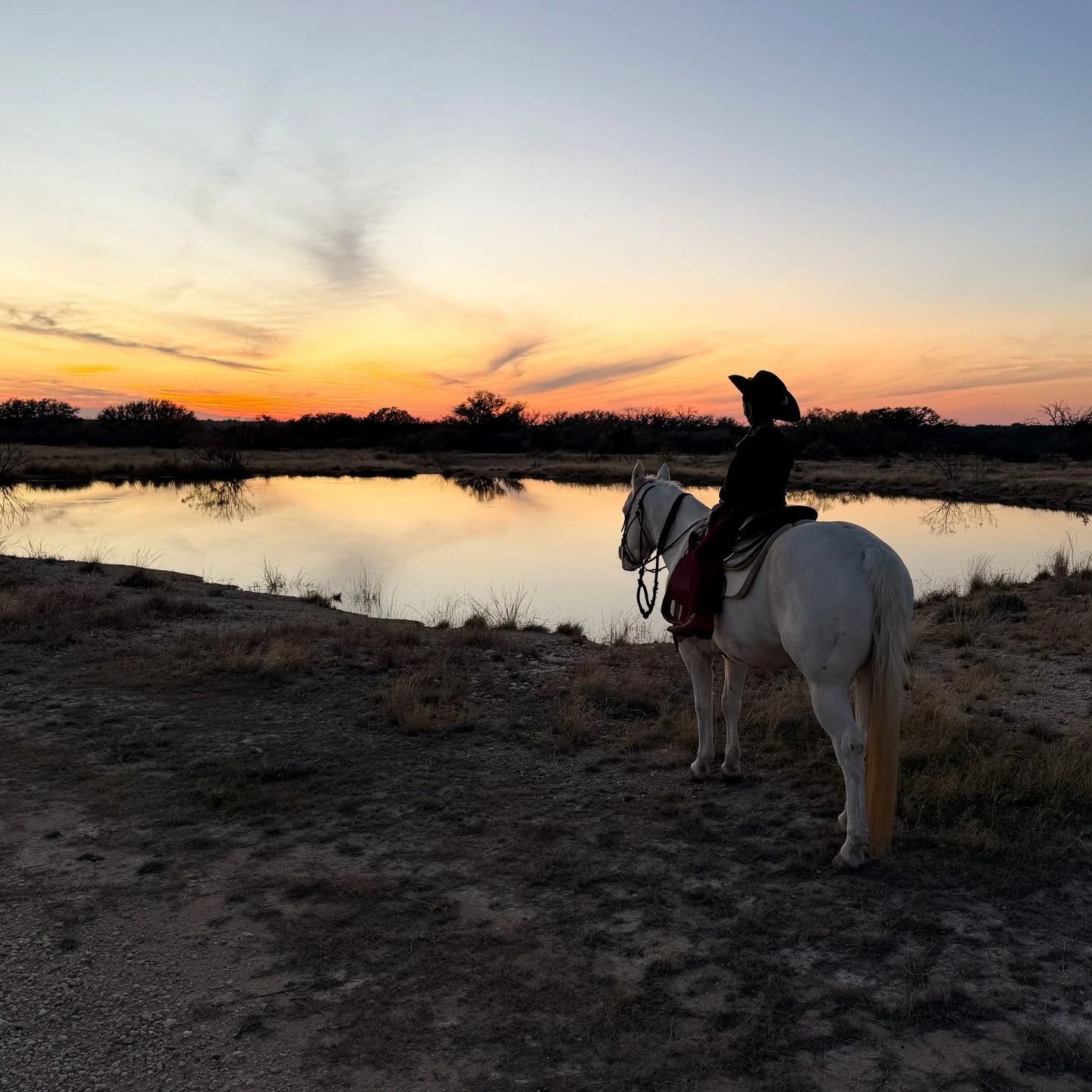 Collecting memories in Texas this Thanksgiving weekend 🤎