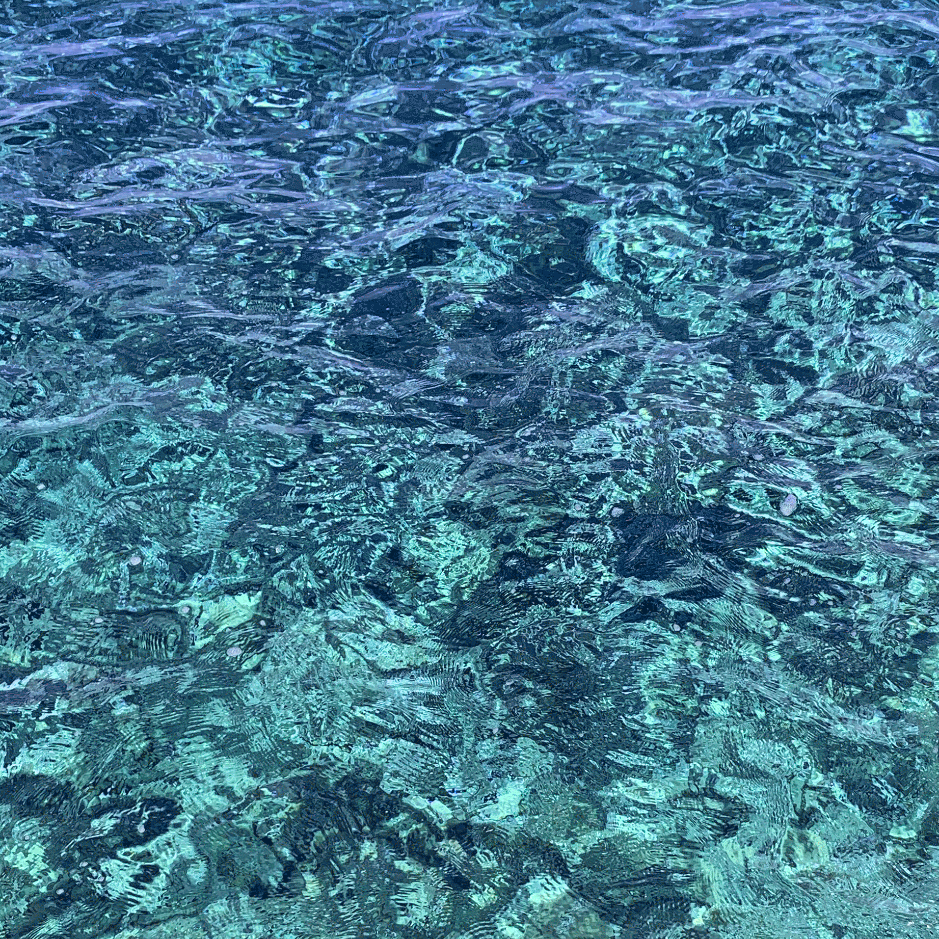Piscines_08_Anim-Intro.gif